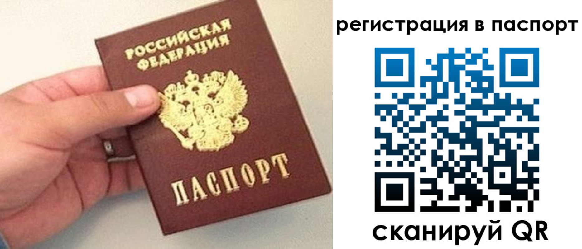 прописка законно в Миассе